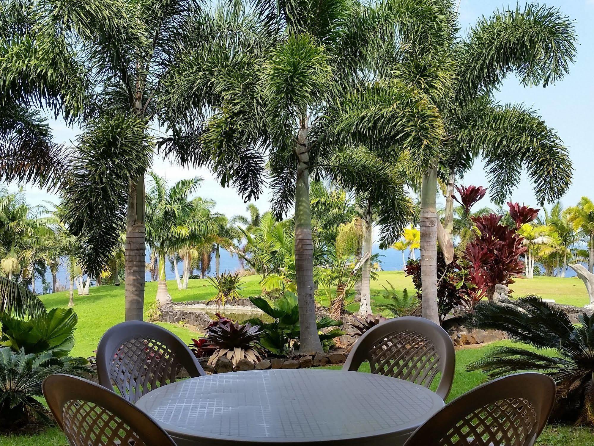 Oceanfront Vacation Rental Honomu Exterior foto